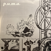 p.u.m.a.
