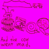 And the cow went mad