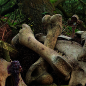 NNHLTNFMDRNTRCHRY XIII.XI.MMXIX