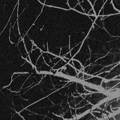 watch as we dissolving trying to reach happiness