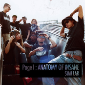 Intro Anatomy Of Insane by Simi Lab