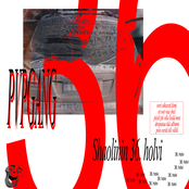 Shaolinin 36 holvia