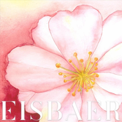 Finding the Mayflower