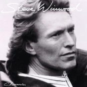 Steve Winwood: Chronicles