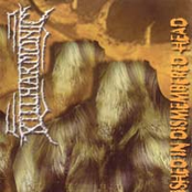 Symphony Of Hate by Killharmonic