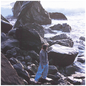 Tanukichan: City Bus