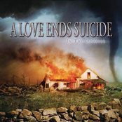 In The Disaster by A Love Ends Suicide