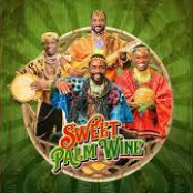 Sweet Palm Wine