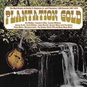 Plantation Gold