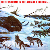 There Is Crime In The Animal Kingdom, Pt. 2