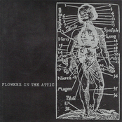Flowers In The Attic
