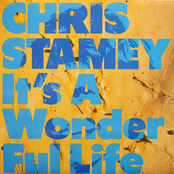 Chris Stamey: It's a Wonderful Life
