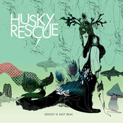 Shadow Run by Husky Rescue