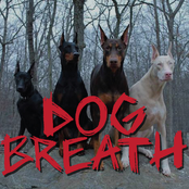 Dog Breath: I