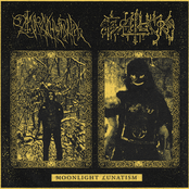 Moonlight Lunatism Split