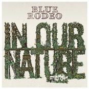 You Should Know by Blue Rodeo