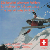 Le meilleur du folklore Suisse, Vol. 4 (Die Beschti schwyzer Folklore - The Best of Swiss Folklore / Jodel, Alphorn, Akkordeon, Chör, Walzer, Marsch...)