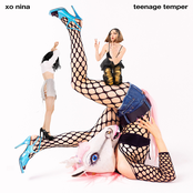 Teenage Temper - Single