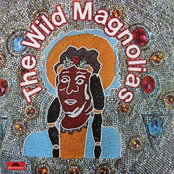 The Wild Magnolias: The Wild Magnolias