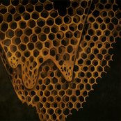 Telefon Tel Aviv: Map of What Is Effortless