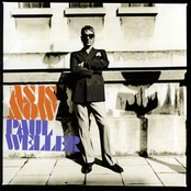 Fly Little Bird by Paul Weller