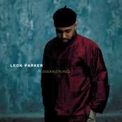 It Is What It Is by Leon Parker