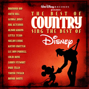 The Best Of Country Sing The Best Of Disney