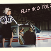 Flamingo Tours