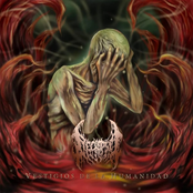 vestigios de la humanidad