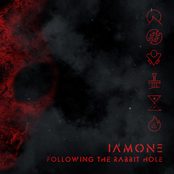 Following the Rabbit Hole