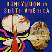 Honeymoon In South America