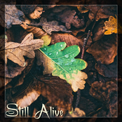 Still Alive