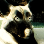 Untitled pieces of my mind