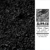 Aartu Negrii
