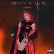 Just Got Flamed - Single