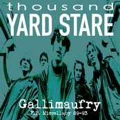 1000 Yard Stare: Gallimaufry