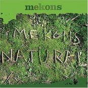 Shocking Curse Bird by The Mekons