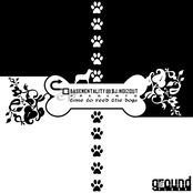 Time To Feed The Dogs