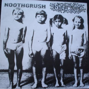 Noothgrush / Carol Ann Split