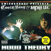 Hood Theory