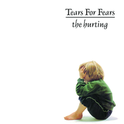 Start Of The Breakdown by Tears For Fears