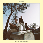 Wallows: Tell Me That It’s Over