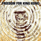 Acolyte Anonyme by Freedom For King Kong