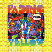 Fading Yellow Vol 14