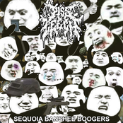 Sequoia Banshee Boogers