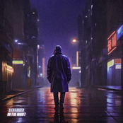 Stranger in the Night