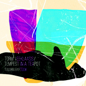 Torm veeklaasis / Tempest in a teapot