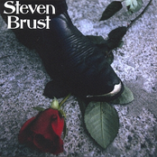 The Visit by Steven Brust