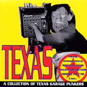 A Collection Of Texas Garage Punkers