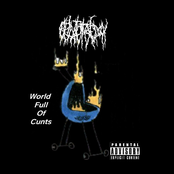 World Full of Cunts